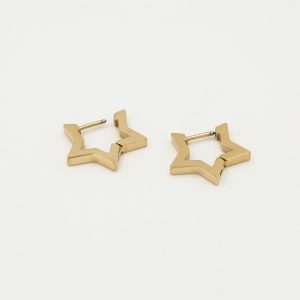 12754 ster goud.2