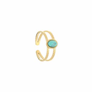 JE12869 ring met steen turquoise – goud